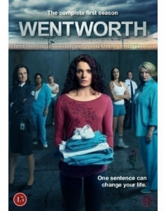 shows similar to wentworth on netflix